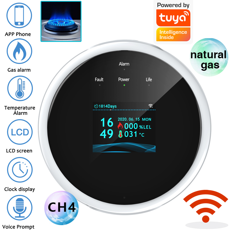 Home Security Items - 2.4G WiFi 가스 경보 센서 가연성